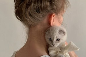 孙颖莎正手密不透风，业余选手如何模仿学习？