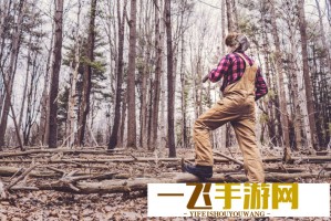 无人区码一码二码三码：揭秘这些数字背后的秘密