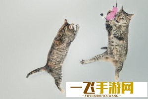 卫衣胶印直接印在车座上？白敬亭潮牌质量问题冲上热搜