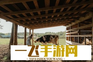 电脑重装必备！高清windows免费版ISO镜像下载大全
