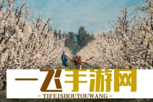 武汉地铁公交抵扣房贷政策详解，市民如何申请？
