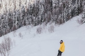 黑白配黑粗硬大疯狂乱叫：罕见现象引发广泛关注