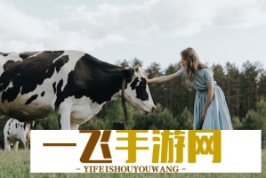火风喊你豹一豹被玩坏了！网友创意二创大合集