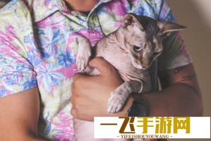 万双袜子订单来袭！看义乌商家如何应对大单挑战
