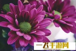 如何通过VM.PPT威九国际免费模板提升工作效率？