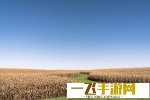 大宗商品综述：油价下跌 铅价走低 黄金三连涨