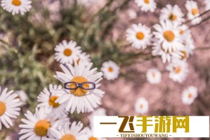 收罚和卖地：是地方经济发展的两大法宝吗？