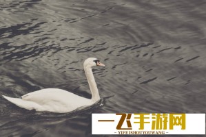 金子涵解约乐华内幕揭秘 是个人选择还是公司决策？