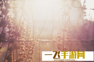 中重稀土出口管制正式生效，美国日本等国会如何应对？