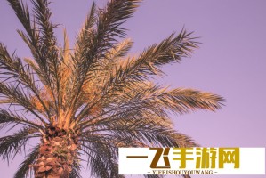 如何推广app软件并实现变现？商业化运营全指南