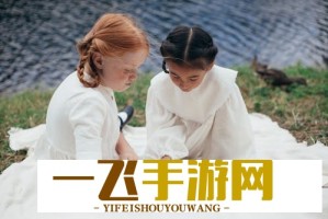 B站视频在线观看人数怎么查？免费查询入口在这里