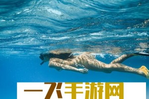 仙踪林company limited岁免费版特点详解：适合年轻人的首选