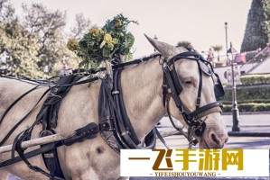 如何用海棠文学城入口浏览器下载小说？详细图文教程来了