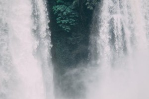西施为何哭着呼喊元歌停？他们之间的爱与战斗如何交织？