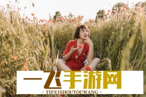 免费CSGO暴躁少女行情网站-专业玩家都在用的神器
