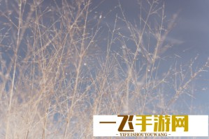 莫兰特VS巴特勒受伤对比：谁更严重？专家详细解读