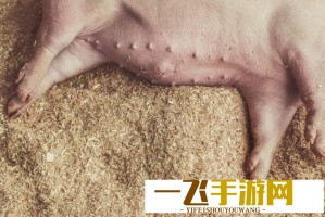 台当局领导人办公楼火灾引发安全质疑 民众要求彻查