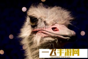 我国首批五座吨气膜粮仓充气成功，如何保障粮食安全？