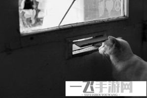 坤坤寒进括号里嗟嗟嗟免费在线播放，网友直呼太魔性