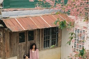 日本女性饮食压抑数据曝光：超半数曾因身材焦虑节食