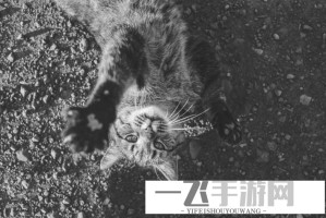 中方反制措施来了！对等反制佩洛西窜台，这些人员被制裁