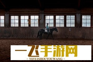 鹦鹉影院官网入口-鹦鹉影院网页版入口