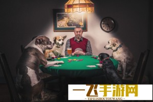 邓超在家喊胡曼黎被孙俪骂 这到底是什么梗？