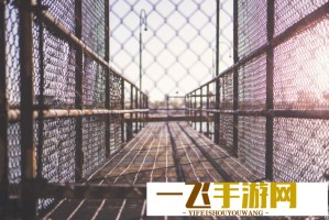 ccgcg吃瓜网黑料爆料蘑菇，为什么这类网站屡屡曝光负面新闻？背后原因你知道吗？