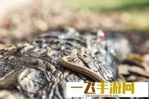 中外游客这个五一爆买卡牌和潮玩