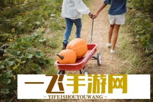 我杀猪养你啊：农村小伙靠杀猪月入过万的创业故事