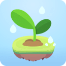 专注植物图标